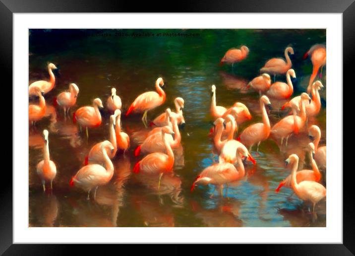 Flamingo party Framed Mounted Print by Sharon Lisa Clarke