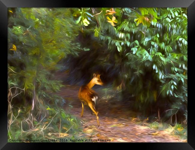 Fawn forest Framed Print by Sharon Lisa Clarke