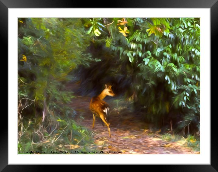 Fawn forest Framed Mounted Print by Sharon Lisa Clarke