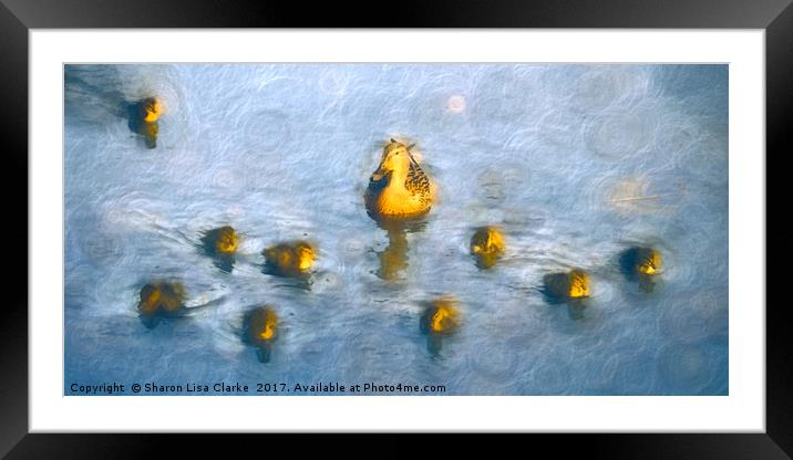 Ten little ducks Framed Mounted Print by Sharon Lisa Clarke