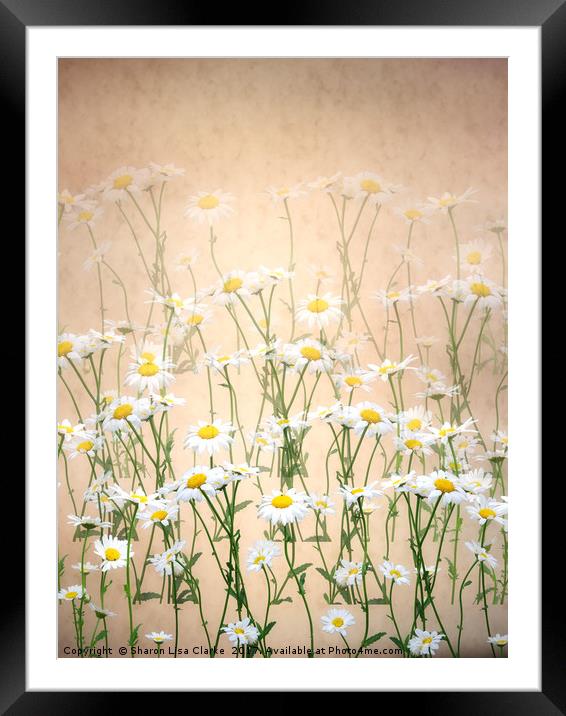 Layered Daisy chains Framed Mounted Print by Sharon Lisa Clarke