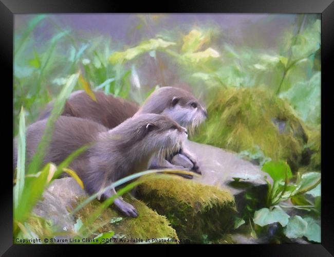 Otter duo Framed Print by Sharon Lisa Clarke