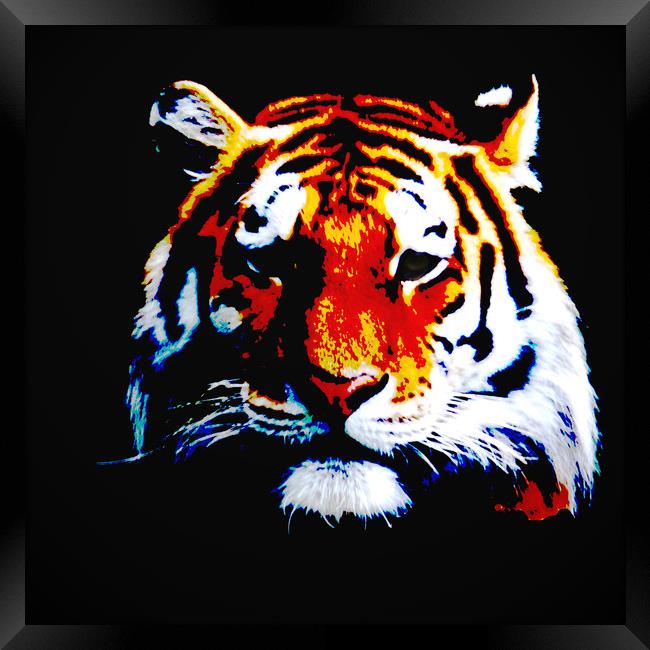 Tiger Framed Print by Sharon Lisa Clarke