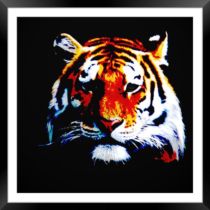 Tiger Framed Mounted Print by Sharon Lisa Clarke