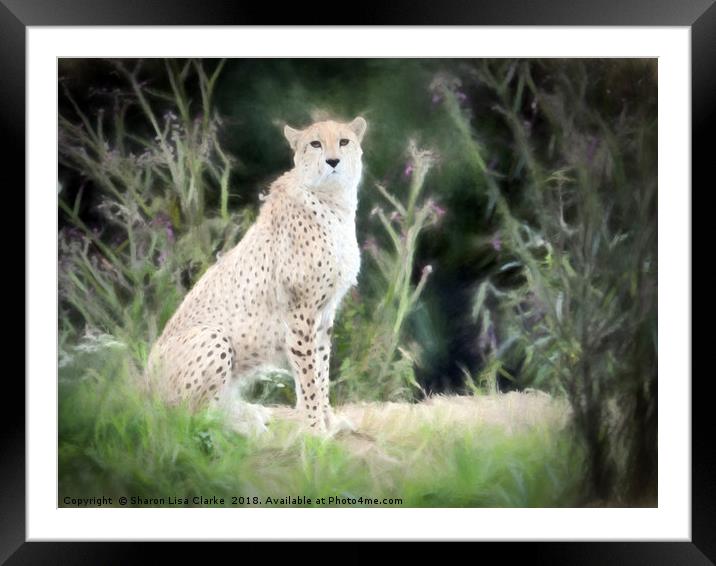 Sitting Proud Framed Mounted Print by Sharon Lisa Clarke
