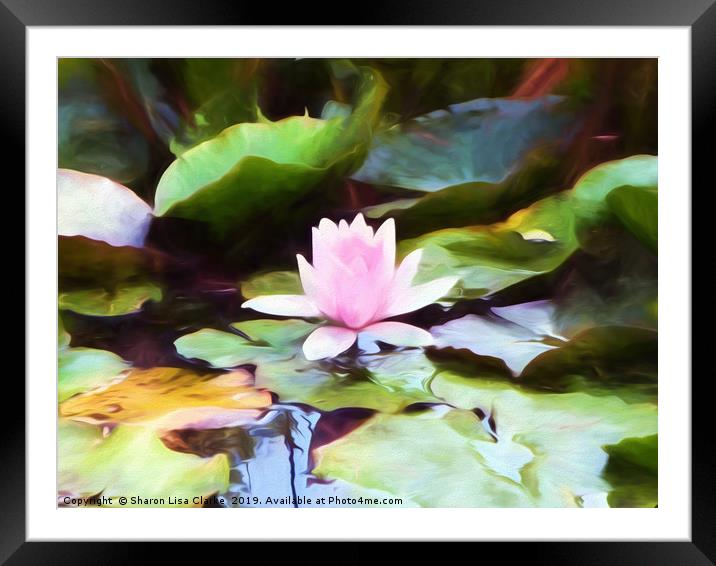 Lily pad Framed Mounted Print by Sharon Lisa Clarke