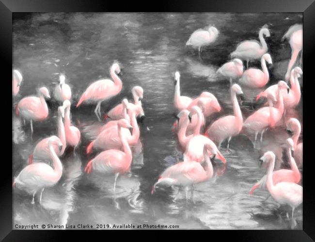 Flamingo party time Framed Print by Sharon Lisa Clarke