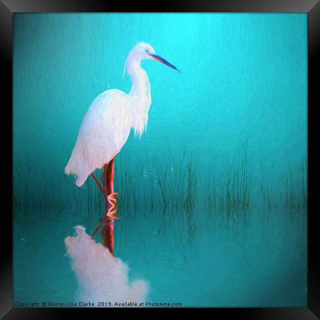 Egret in teal Framed Print by Sharon Lisa Clarke