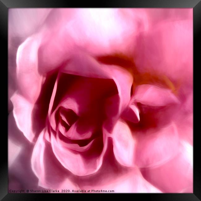 Pink rose romance Framed Print by Sharon Lisa Clarke