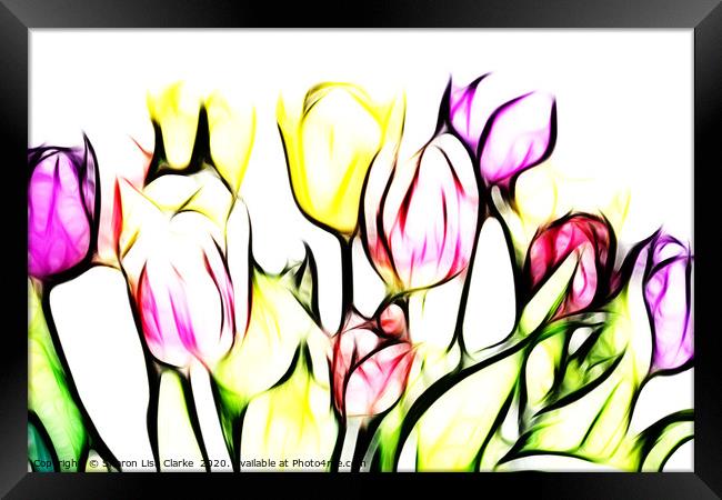 Tulip Brights Framed Print by Sharon Lisa Clarke