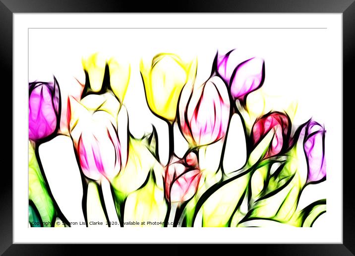 Tulip Brights Framed Mounted Print by Sharon Lisa Clarke