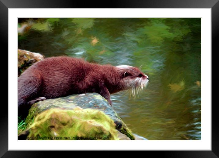 Otter Lake Framed Mounted Print by Sharon Lisa Clarke