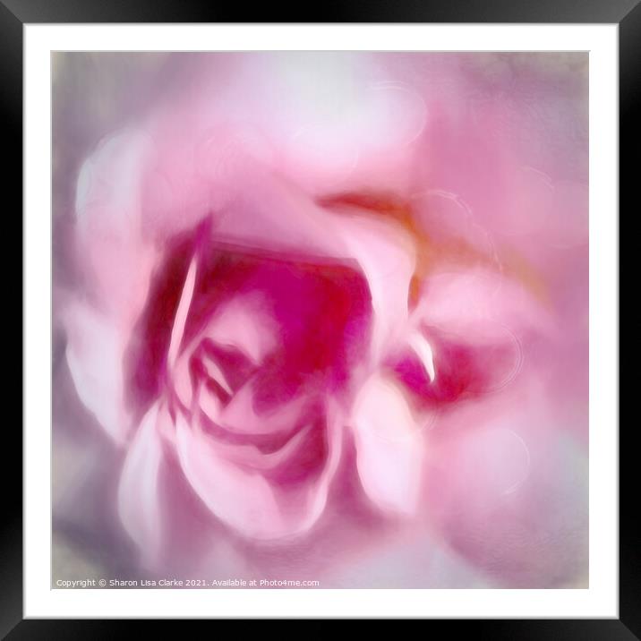 Rose Melts Framed Mounted Print by Sharon Lisa Clarke