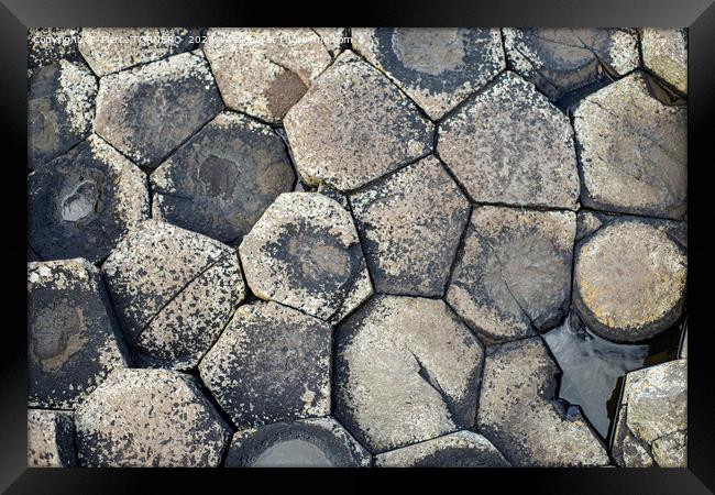 Giants Causeway Framed Print by Pierre TORNERO