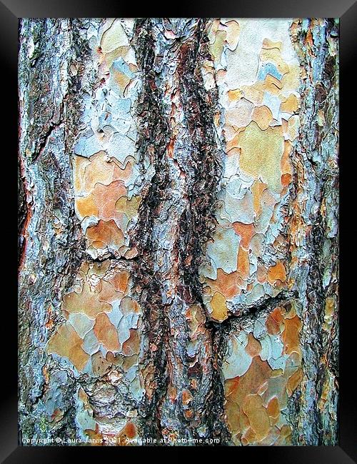 Tree Bark, Wisley Gardens, Surrey. Framed Print by Laura Jarvis