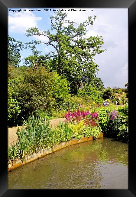 Fish in pond at Wisley Framed Print by Laura Jarvis