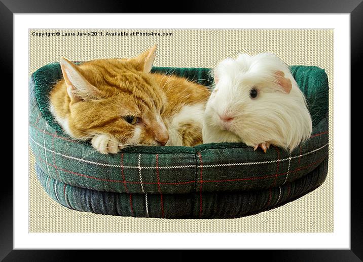 Best of Friends. Framed Mounted Print by Laura Jarvis