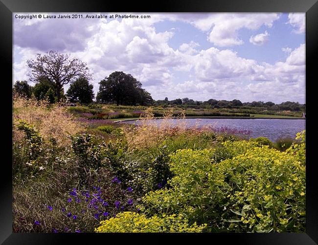 Across the pool at Wisley Framed Print by Laura Jarvis