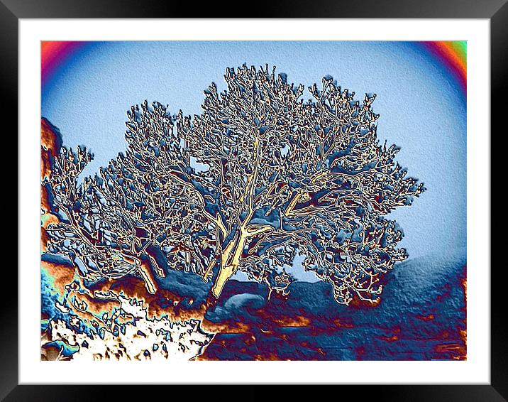 Tree in a Snowball Framed Mounted Print by Laura Jarvis