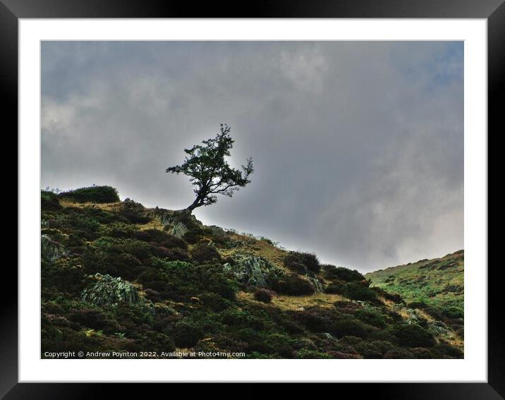 Outdoor mountain Framed Mounted Print by Andrew Poynton