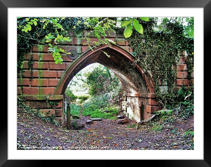 Himley Park Archway Framed Mounted Print by Andrew Poynton