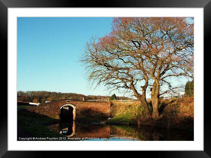 Hinksford Lock Bridge Framed Mounted Print by Andrew Poynton