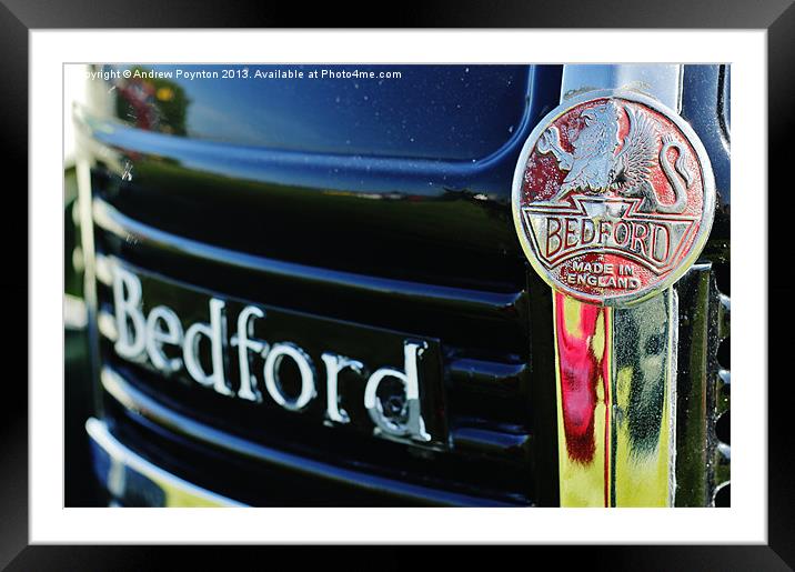BEDFORD LORRY GRILL BADGE Framed Mounted Print by Andrew Poynton