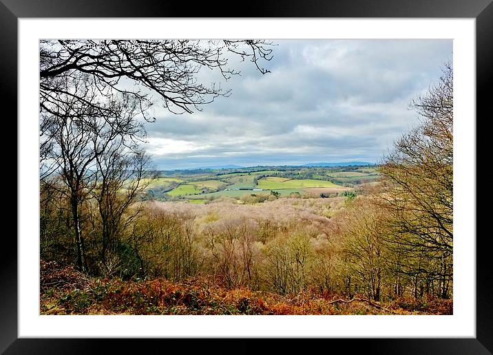  Kinver Edge View Framed Mounted Print by Andrew Poynton