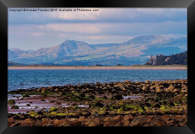 A View from Shell Island Framed Print by Andrew Poynton