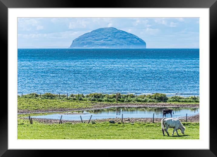 Ailsa Craig  Framed Mounted Print by Valerie Paterson