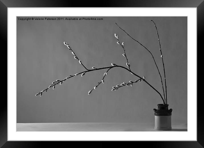 Willowing Willows Framed Mounted Print by Valerie Paterson