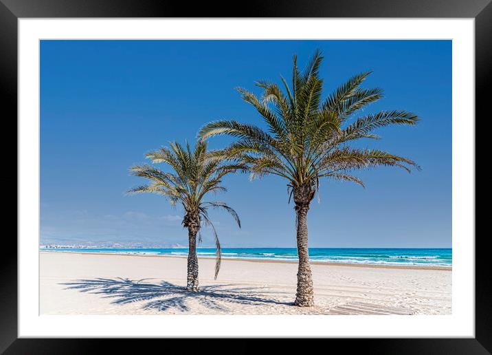 Palm Trees Alicante Framed Mounted Print by Valerie Paterson