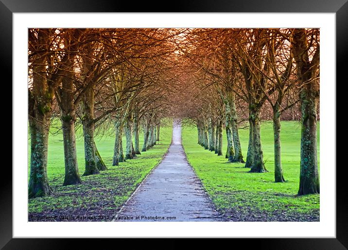 Path To The Castle Framed Mounted Print by Valerie Paterson