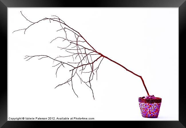 Barely Branches In Colour Framed Print by Valerie Paterson