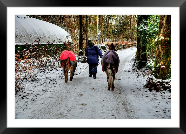 Donkey Walk Framed Mounted Print by Valerie Paterson
