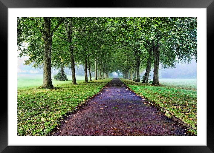 The Avenue in the Fog  Framed Mounted Print by Valerie Paterson