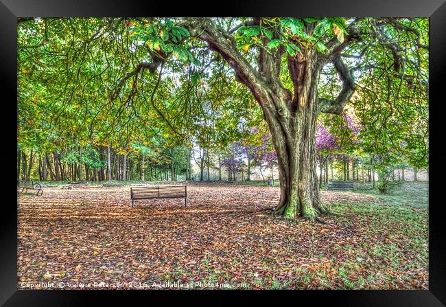 Eglinton Park in Autumn Framed Print by Valerie Paterson