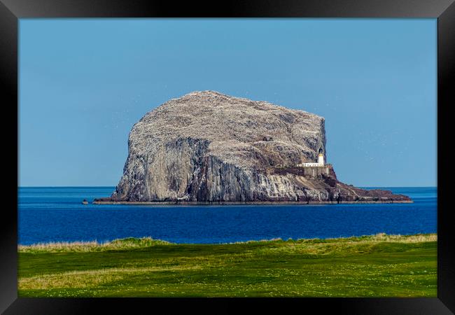Bass Rock Framed Print by Valerie Paterson