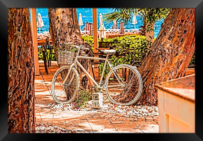 Silver Cycle Framed Print by Valerie Paterson