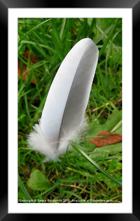 White and Grey Feather Framed Mounted Print by Bessie Goldsmith