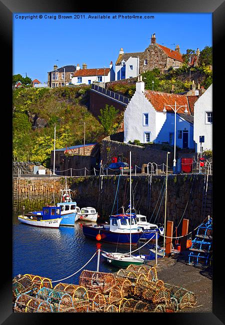 Crail Harbour, Fife Scotland Framed Print by Craig Brown