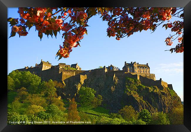 Edinburgh Castle Framed Print by Craig Brown