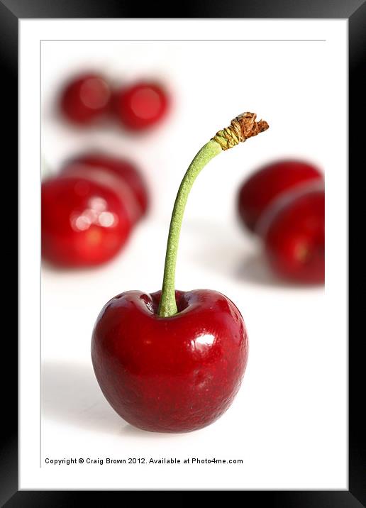 Red Cherries Framed Mounted Print by Craig Brown