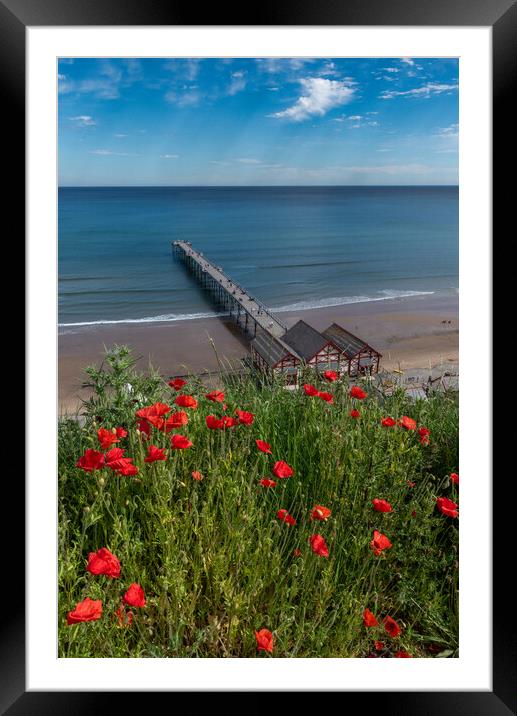 Poppies above Saltburn pier Framed Mounted Print by Gary Eason