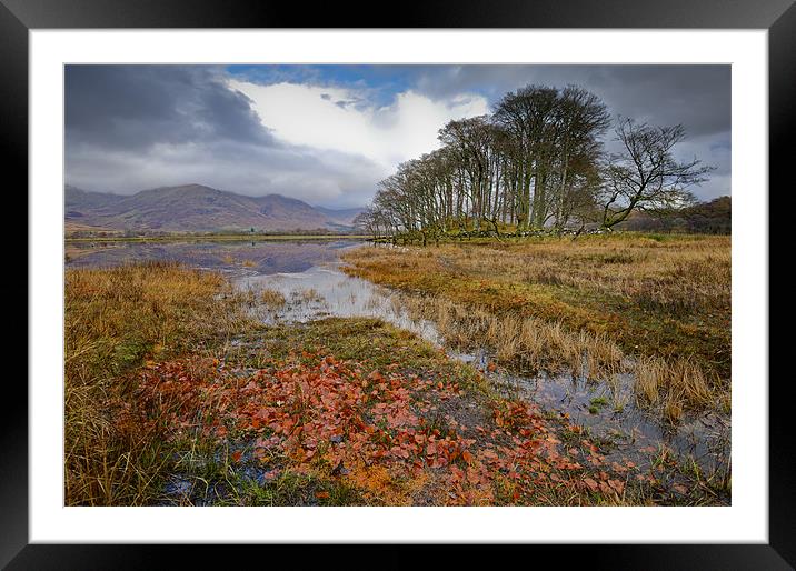 Autumn leaves, Loch Awe Framed Mounted Print by Gary Eason