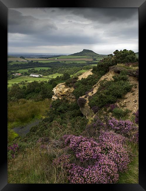 Roseberry Topping and Heather, Cleveland Hills Framed Print by Gary Eason