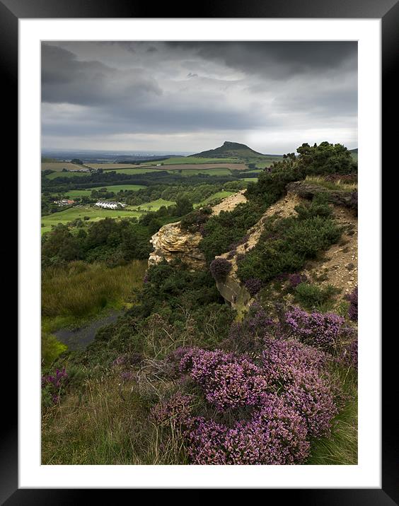 Roseberry Topping and Heather, Cleveland Hills Framed Mounted Print by Gary Eason