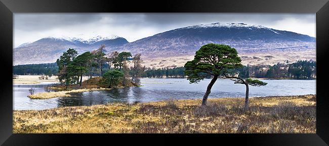 Trees, Loch Tulla Framed Print by Gary Eason