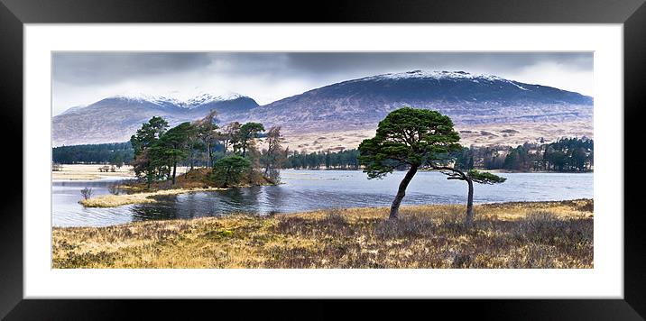 Trees, Loch Tulla Framed Mounted Print by Gary Eason