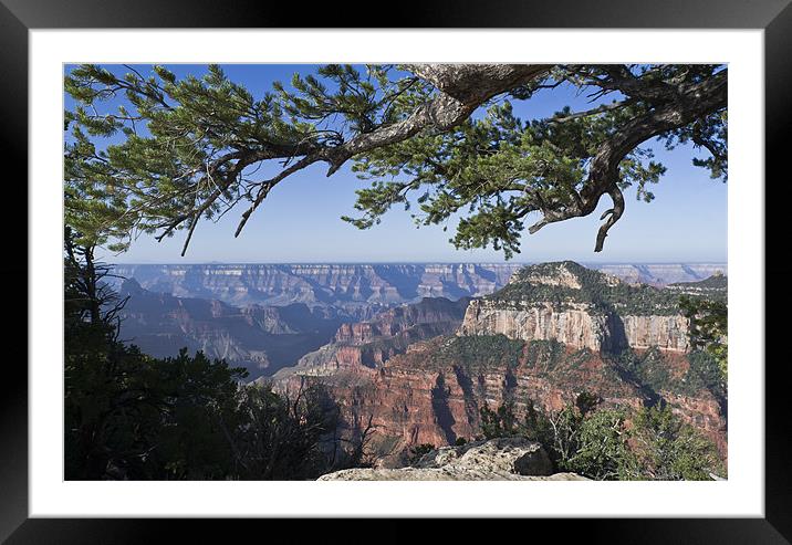 Grand Canyon from Bright Angel Trail Framed Mounted Print by Gary Eason